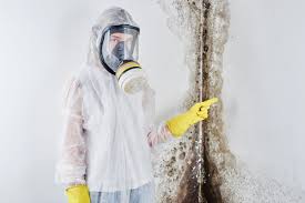 Mold Remediation for Rental Properties in Magnet Cove, AR